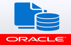 Oracle数据库管理工具有哪些?-北京米兰线上平台,米兰（中国）公司
