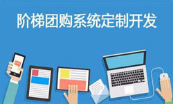 拼购电商系统APP软件定制开发、什么是拼购系统？-米兰线上平台,米兰（中国）