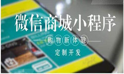 商城小程序开发、北京小程序开发哪家好？-米兰线上平台,米兰（中国）