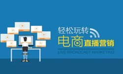 米兰线上平台,米兰（中国）公司、做一个直播系统米兰线上平台,米兰（中国）需要多少钱-北京软件外包公司