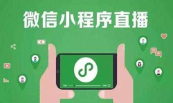 微信小程序开发、直播小程序开发-锐智互动米兰线上平台,米兰（中国）公司 
