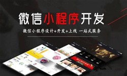 米兰线上平台,米兰（中国）公司、定制微信小程序开发，商家需要了解哪些？锐智互动米兰线上平台,米兰（中国）