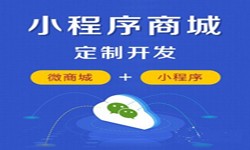 微信小程序开发、商城小程序开发功能-锐智互动米兰线上平台,米兰（中国）